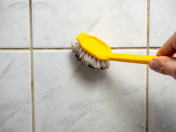 Best Professional Mold Removal  in Wagoner, OK