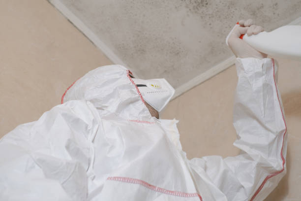 Office Mold Removal Services in Wagoner, OK